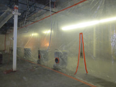 Commercial Mold Remediation Company