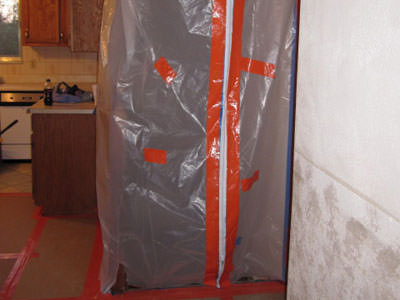 Professional Mold Remediation Company