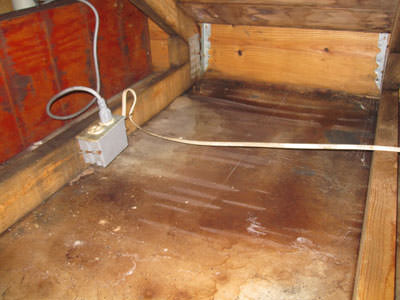 Home Mold Removal Company