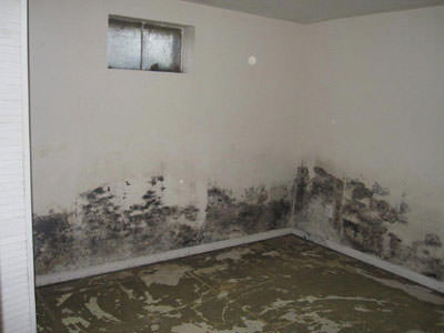 Commercial and Residential Mold Testing Company