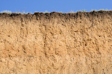 Contaminated Soil Remediation Services