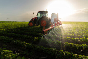 Contaminated Soil Clean-up