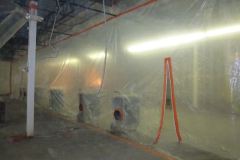 Commercial-Mold-Remed-1