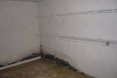 Mold-Black-Mold-Remediation-2