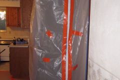 Mold-Calling-a-Mold-Remed-Company-2