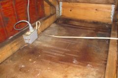 Mold-Home-Mold-Removal-1