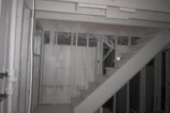 Mold-Home-Mold-Removal-3