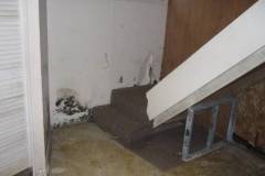Mold-Home-Mold-Removal-4