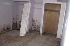 Mold-TestingInspection-1