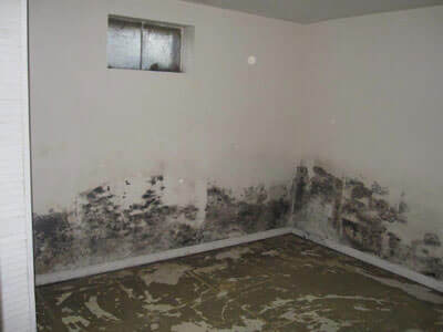 Commercial and Residential Mold Testing Company
