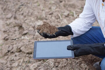 Contaminated Soil Removal and Disposal Process