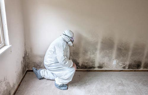 Environmental Remediation & Restoration in St. Louis, St. Charles, & Columbia, Missouri