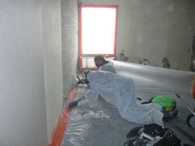 Mold Remediation Services in MO, KS, IL, IA