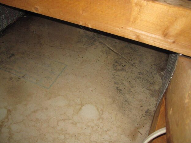 Commercial Mold Removal and Mold Remediation