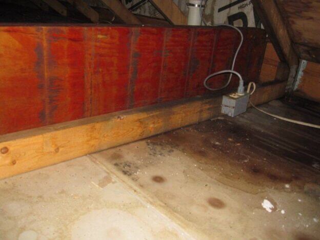 Calling a Mold Remediation Company in St. Louis, St. Charles, & Columbia, Missouri