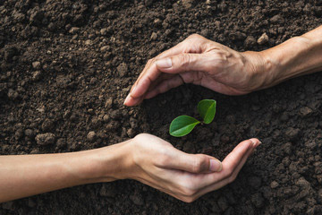 Benefits of Soil Contamination Testing